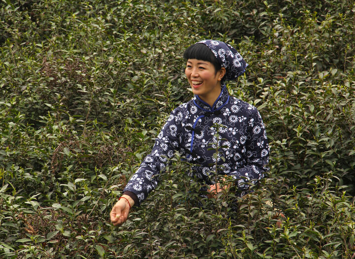 95网主播 情欲暗码